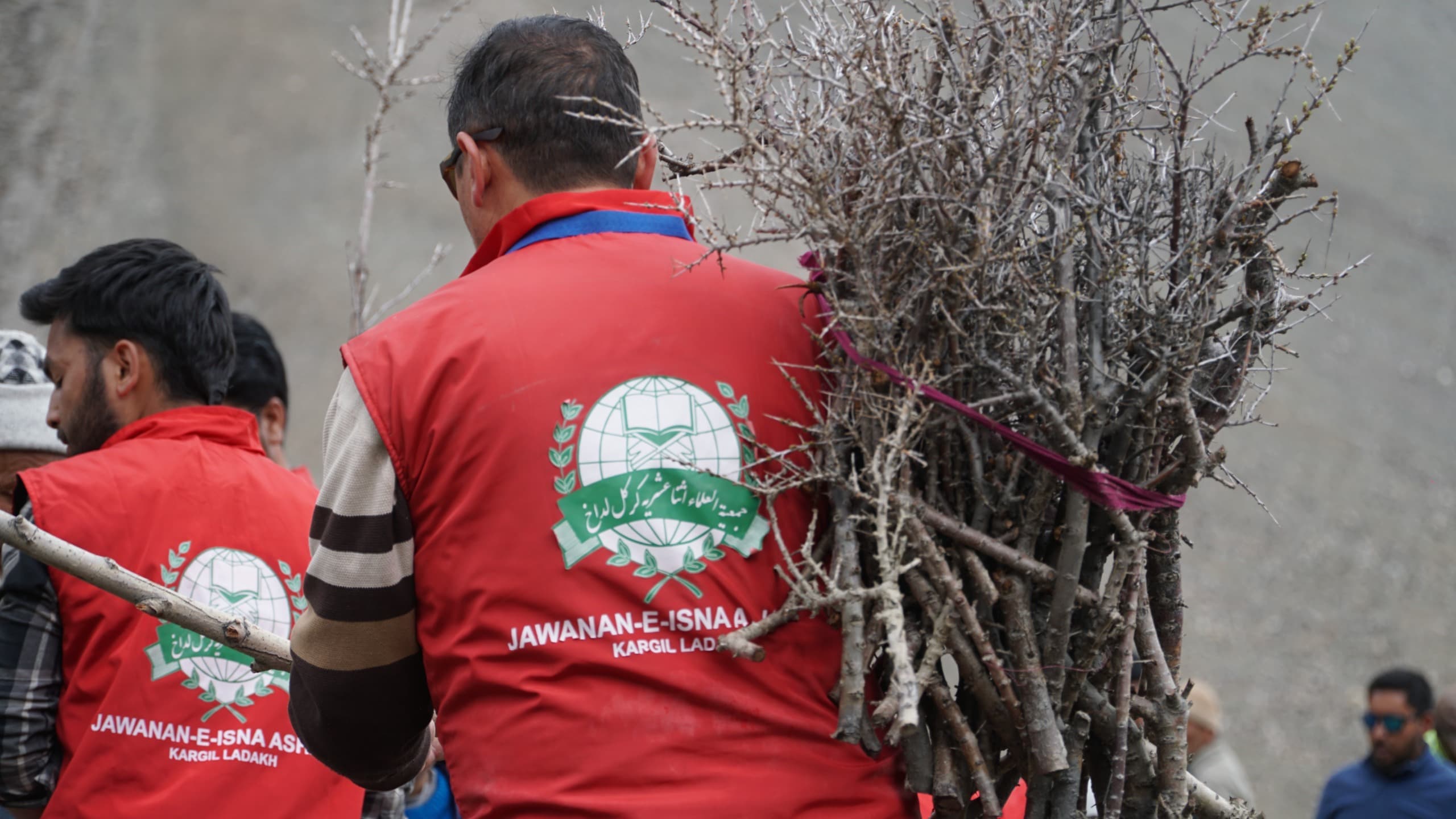 Volunters carrying throne plants to the plantation site