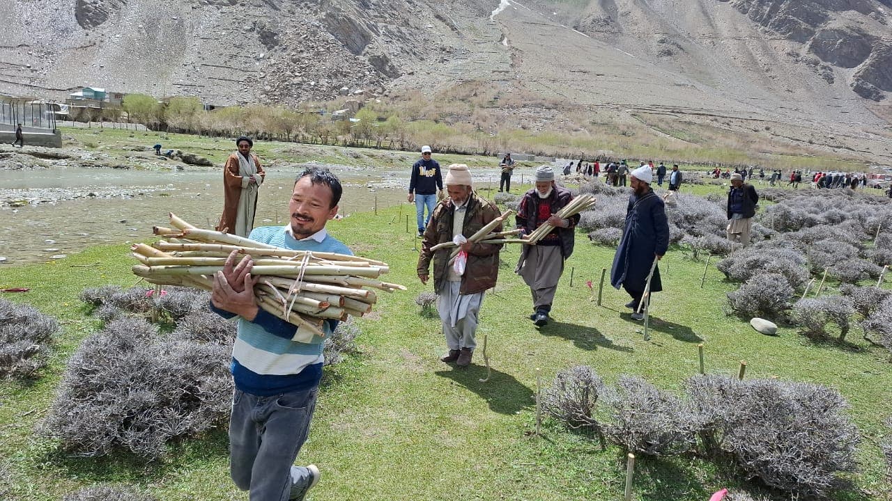 Volunters carrying logs of trees
