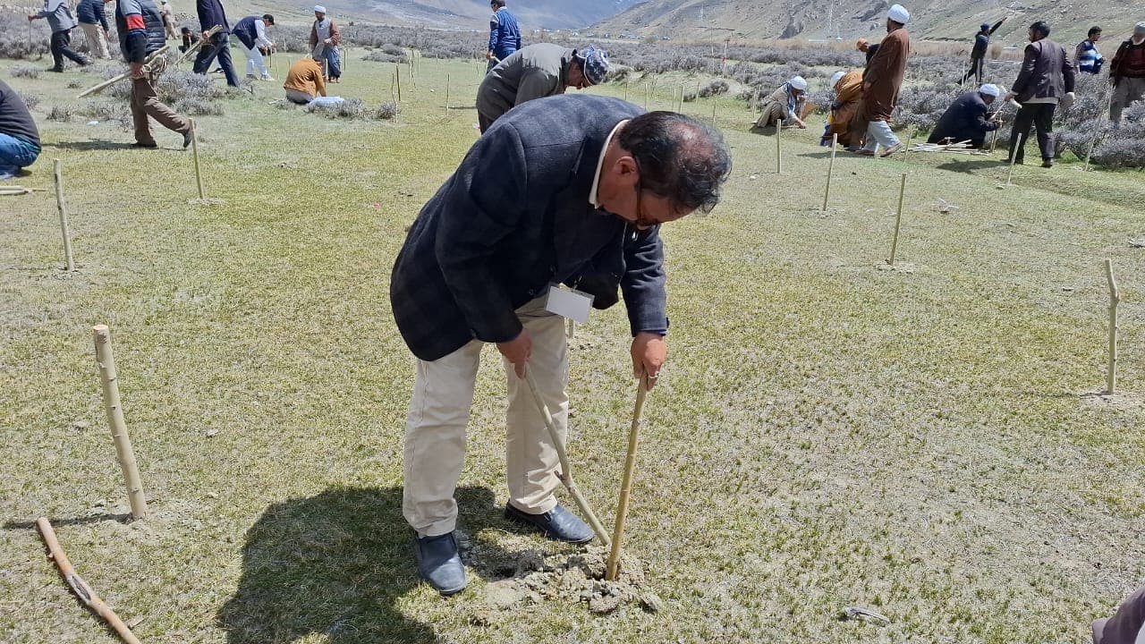 People Planting trees at Damsna